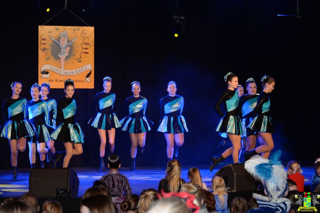 ../Images/Dansmarieke festival 2018 132.jpg